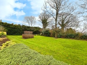 Photo 19- click for photo gallery